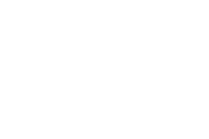 Deezer-Logo